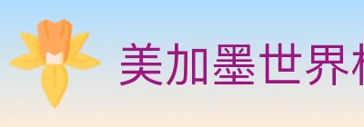 美加墨世界杯买球入口 logo